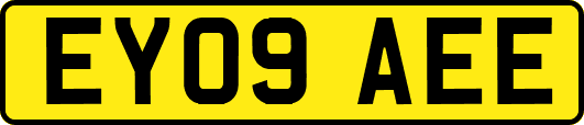 EY09AEE