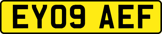EY09AEF