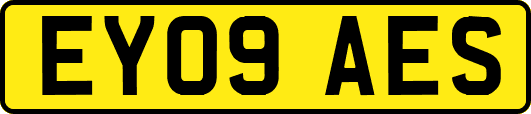 EY09AES