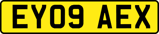 EY09AEX