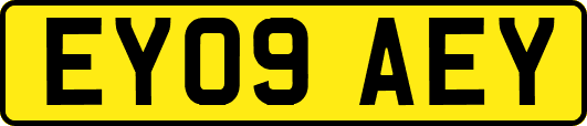 EY09AEY