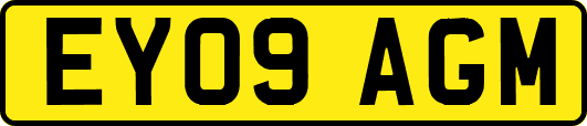 EY09AGM