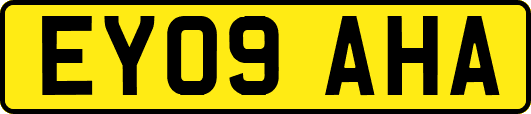 EY09AHA