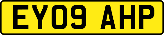 EY09AHP