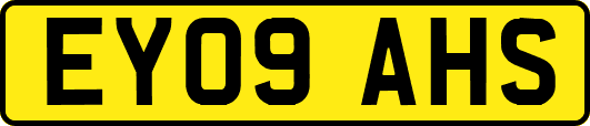 EY09AHS