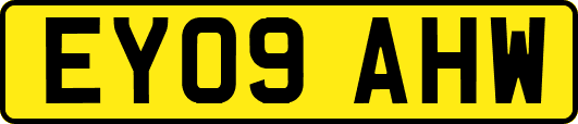 EY09AHW