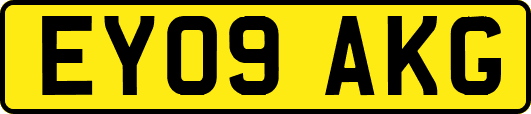 EY09AKG