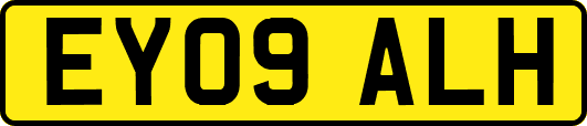 EY09ALH