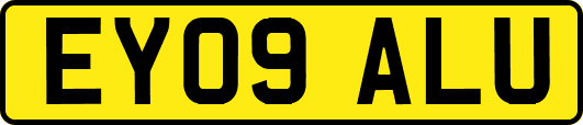 EY09ALU