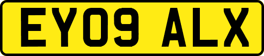 EY09ALX