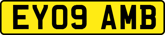 EY09AMB