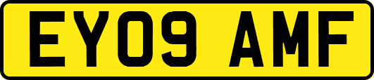 EY09AMF