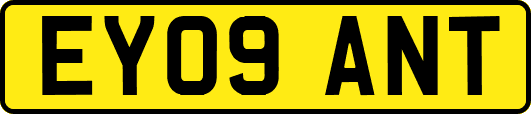 EY09ANT