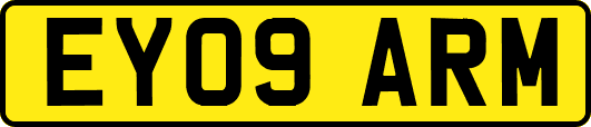 EY09ARM