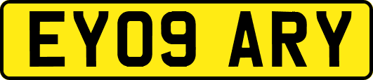 EY09ARY
