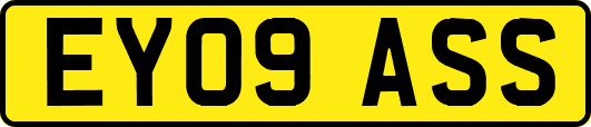 EY09ASS
