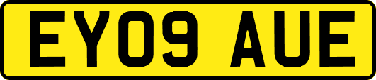 EY09AUE