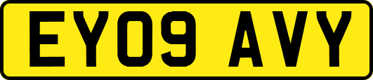 EY09AVY