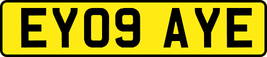 EY09AYE