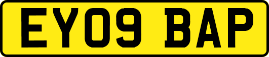 EY09BAP