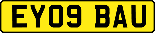 EY09BAU