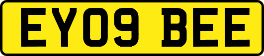 EY09BEE