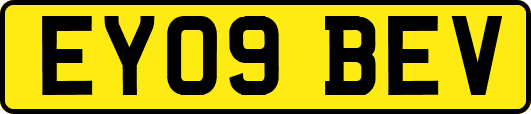 EY09BEV