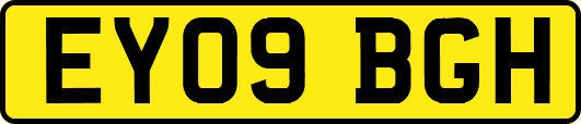 EY09BGH