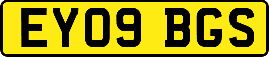 EY09BGS