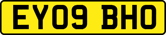 EY09BHO