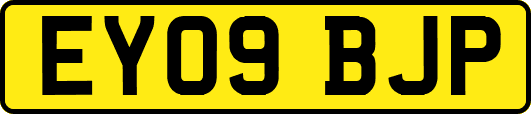 EY09BJP
