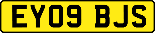 EY09BJS