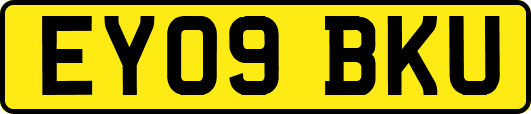 EY09BKU