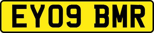 EY09BMR