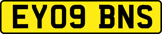 EY09BNS