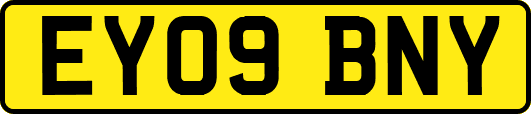 EY09BNY