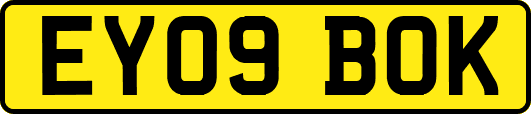 EY09BOK