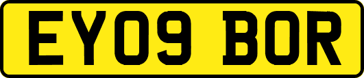 EY09BOR