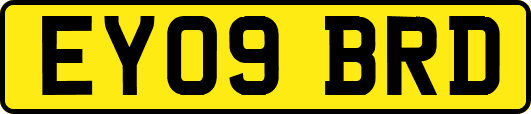 EY09BRD