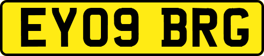 EY09BRG