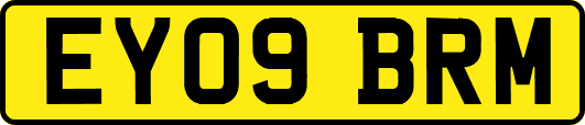 EY09BRM