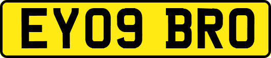 EY09BRO