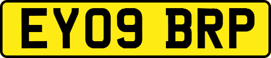 EY09BRP
