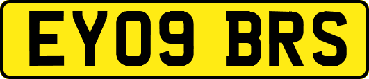 EY09BRS
