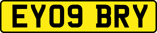 EY09BRY