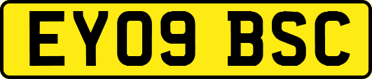 EY09BSC
