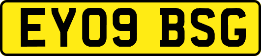 EY09BSG