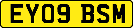 EY09BSM