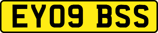 EY09BSS