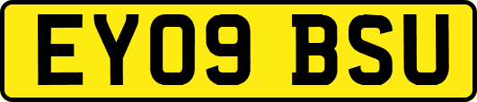 EY09BSU